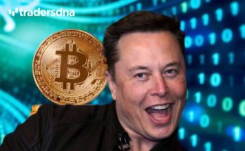 Elon Musk bitcoin, Elon Musk, Bitcoin dip, Bitcoin U-turn, Bitcoin down