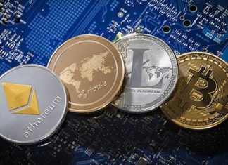 most-search cryptocurrencies, world's first popular cryptocurrency, cryptocurrencies, crypto, altcoins, bitcoin