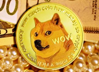 SHIBA INU, Crypto, SHIB, Bitcoin, Most search cryptocurrencies, cryptocurrency , Most searched for crypto