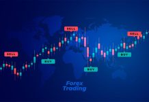 How To Avoid Revenge Trading In Forex