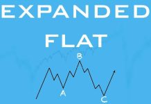 Expanded Flat Pattern